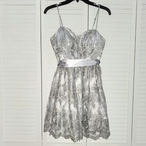 TLC Silver and Grey Dress With Embroidery
